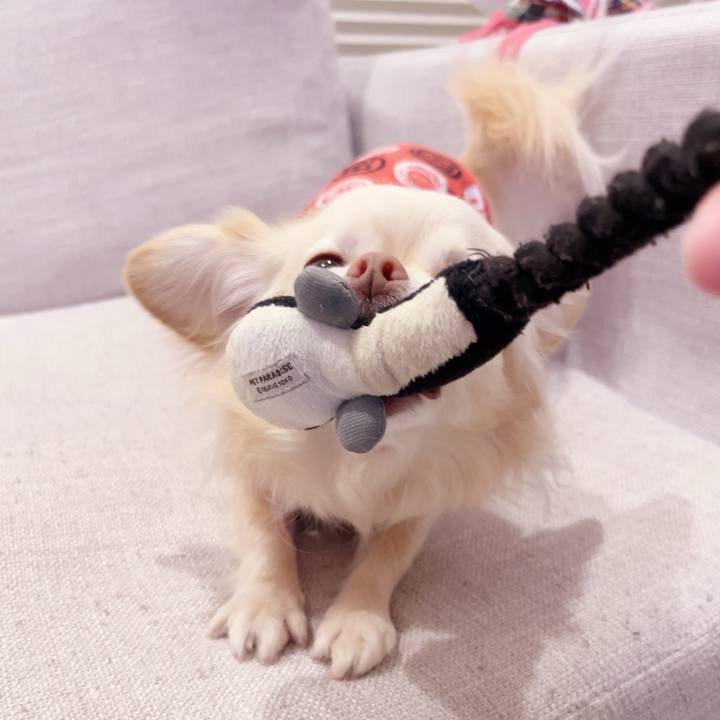 025f08c2 b718 4047 ad9e ba4c90cefd4e 1742823019472