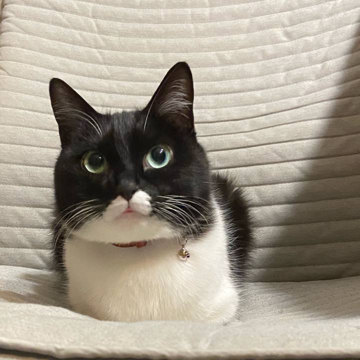 025f1cbf 6c5a 4da4 8c1f b9556b8fc6c5 1590883972747