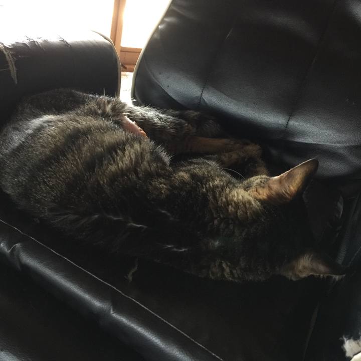 025f7cf6 d480 4466 bab5 36f22219e2a2 1534220935204