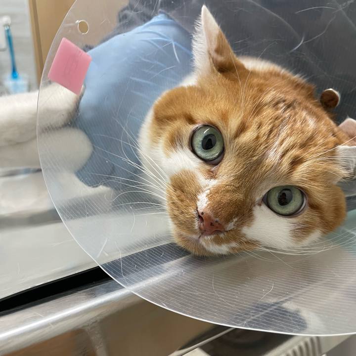 025f8e29 3a11 4136 87e1 aedf8bf2bef8 1702454165544