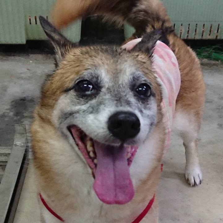 025f9cc6 1211 42cc b21a 19947a6b805e 1532238627320