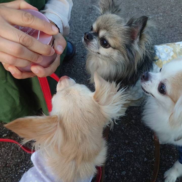 025fb092 7474 4143 8d69 990a5378c466 1633078108909