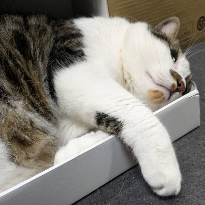 025fc3bd 6732 4c45 9d10 f36632317caa 1718930725512