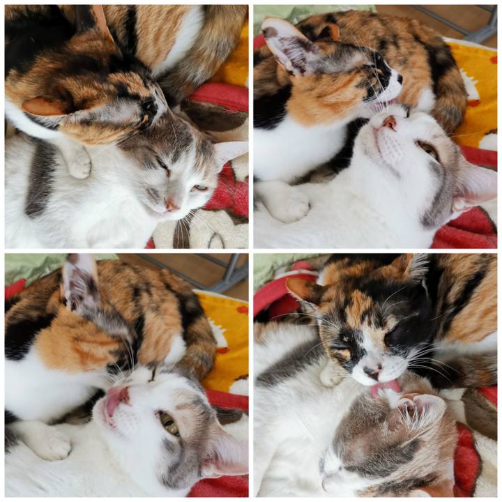 025fd82e 28b0 4398 a4fd 85a33448d3da 1681271365913