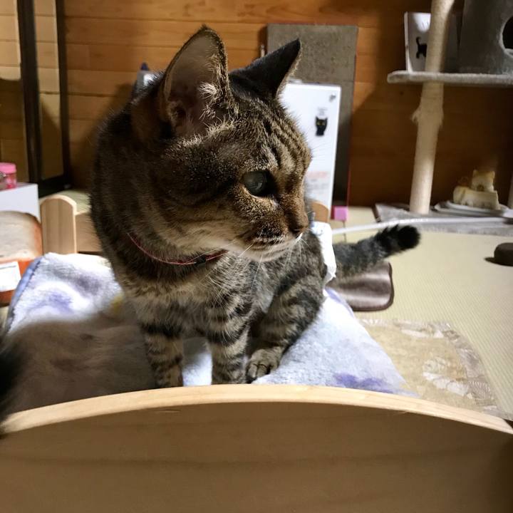 025fdef4 d5d0 4509 b400 70e96d0726a4 1546951372824