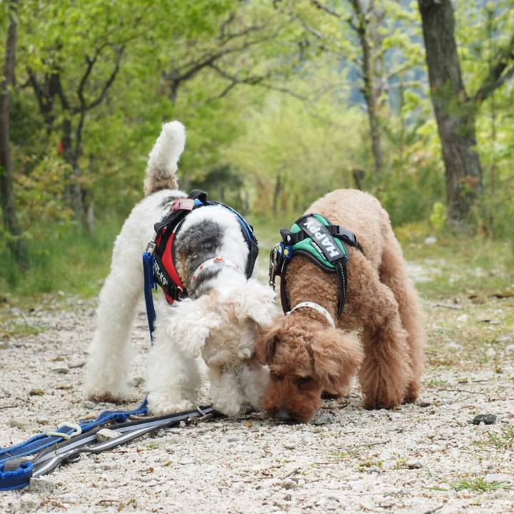 025ff445 9c64 444f 937a ce855c4e8024 1556670467977