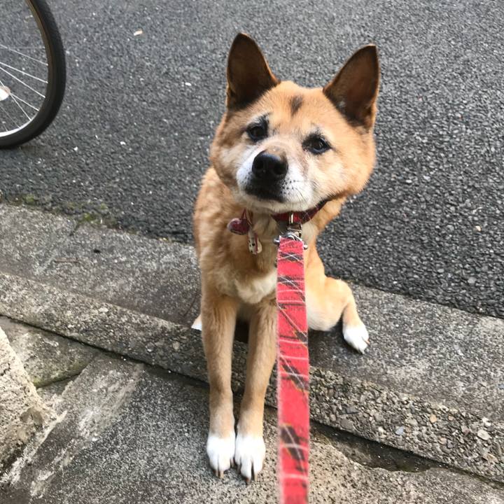 026038bd d366 45f8 9779 f6fd251b82da 1521261870917