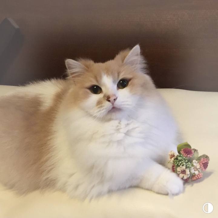 026042e3 7806 4ab7 8a51 269ad793ea10 1580420270291