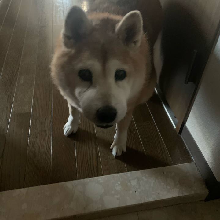 02604bb4 e988 4921 8f95 72fd98a2a6ce 1640942914739