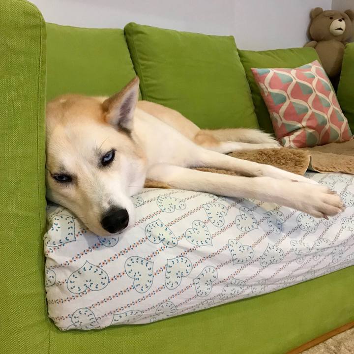 02606747 b463 454f 8f3f 8656f00a051d 1516239716926