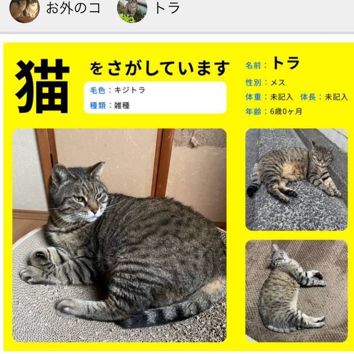 0260af5c f7fe 4b5d 8054 4720496aaadc 1655452093736