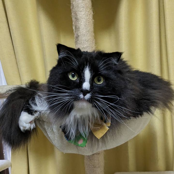 0260b1a7 0ad7 4bb9 96ea 01713c1e1d94 1699658532475