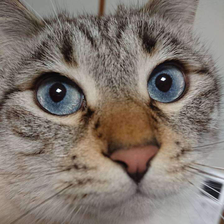 0260c197 cb5b 40aa 923d d11b2a43a561 1551349922821