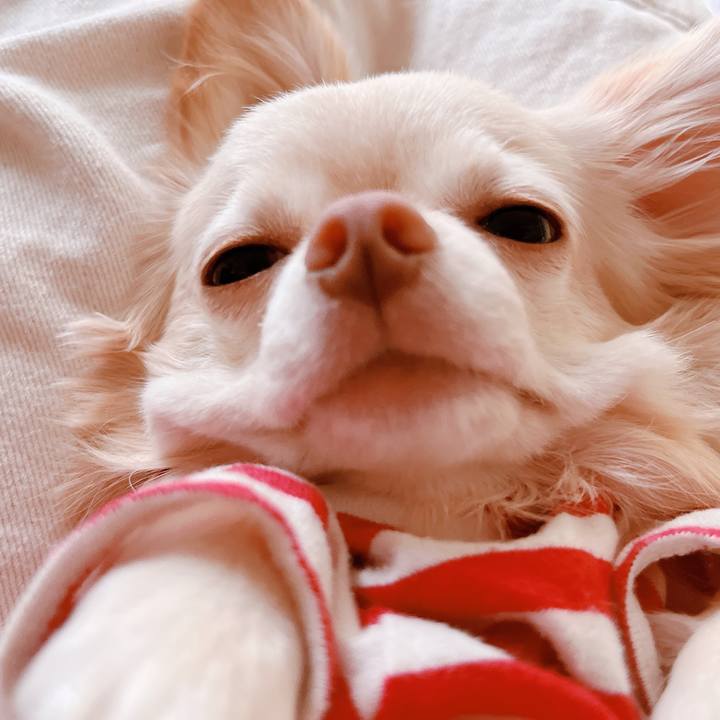 0260e297 9433 4cc7 8ede 174e067f7a43 1665748719011