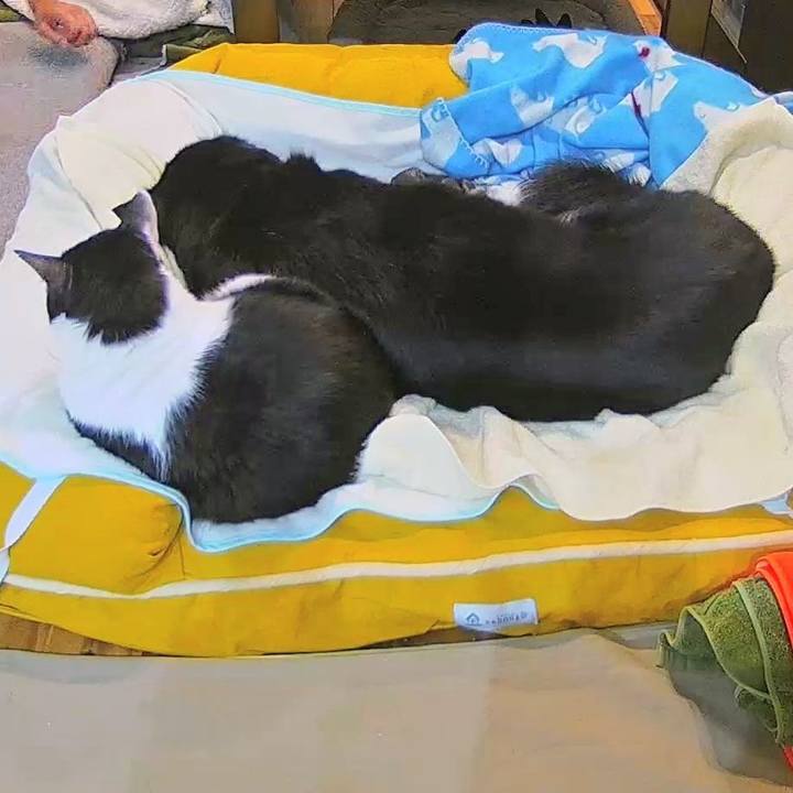 02614ed7 ebce 41dd 9de7 deb0035adcd0 1775858517002