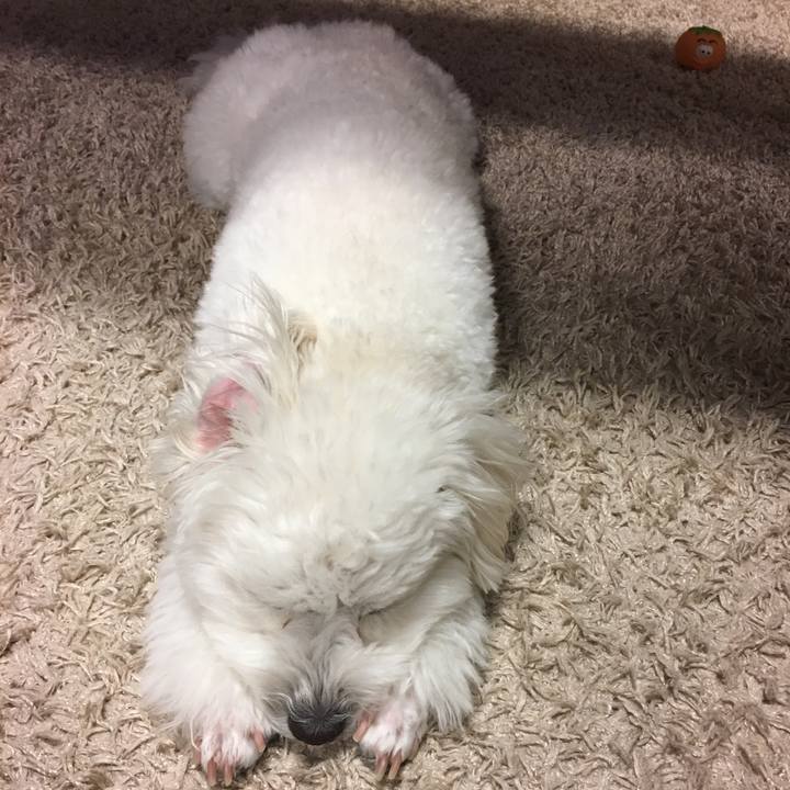 026174d6 3db2 4cec a900 5d9e612cf179 1542841421357