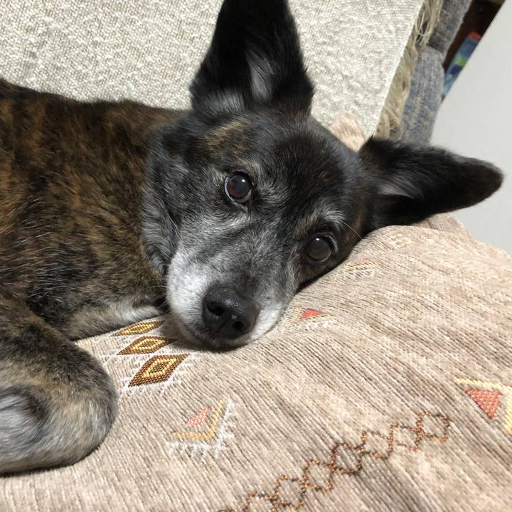 026188dd 5c2b 4896 9d63 6f5e5678030e 1675403047156