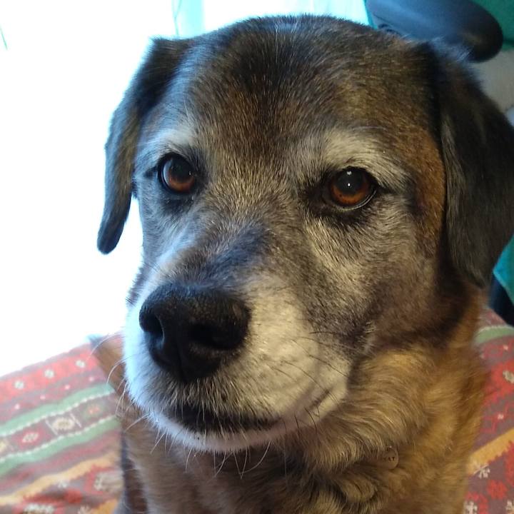 02619fdd f713 4fdf 8cf4 0ba6fbe1dd82 1549689718598