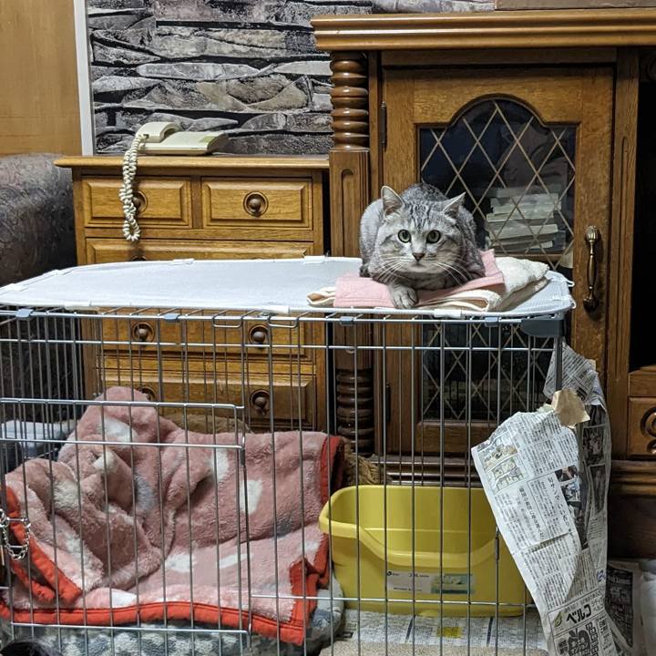 0261ca37 212b 4b61 9371 c9cfc42ca574 1701691237991