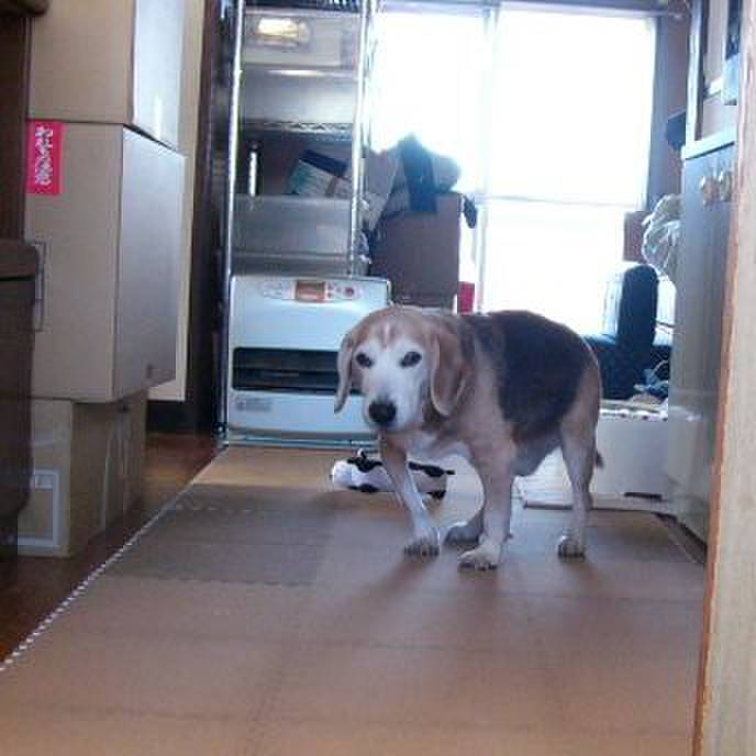 0261eb92 2fe3 45f5 84a2 20b58bd6aec6 1678411802457