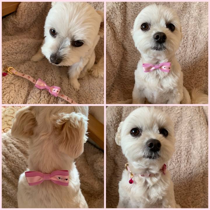 0261ee8b c9f8 4088 88ac 6164063c3ad4 1614573075047