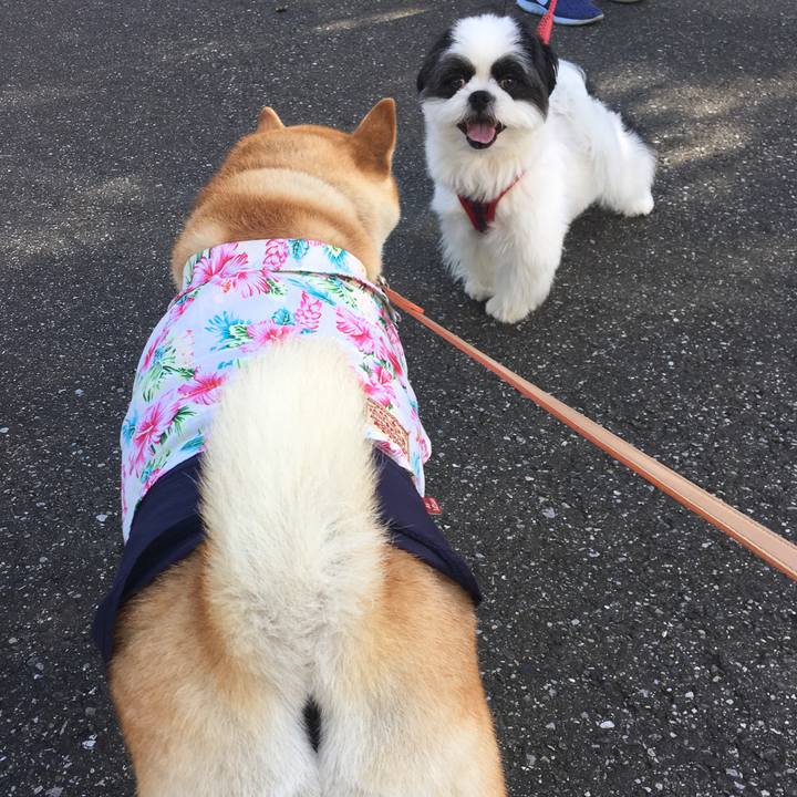 0261fa28 2422 4f7e 9a1f 2a4540346b86 1565049654277