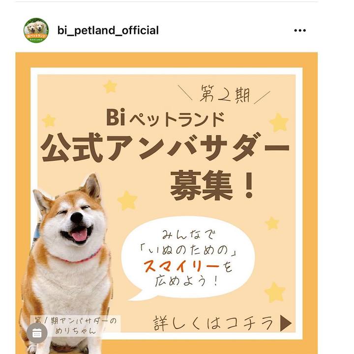 0261fd0d 9448 4f1c b2b9 4bd9e26deafb 1662513301025