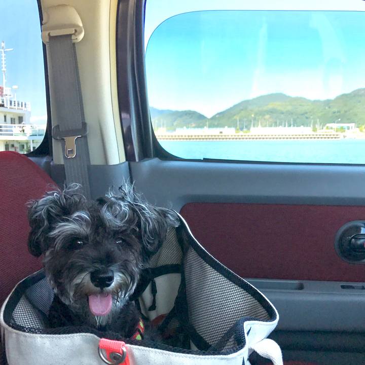 02626b8f f4a3 4fde acce 7d3a7360c926 1549536013120