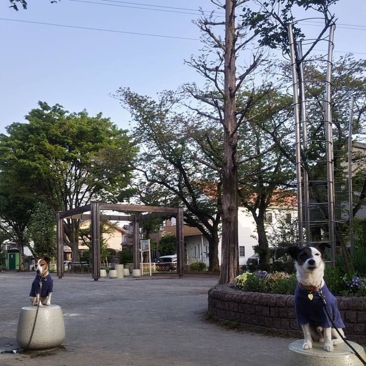 02629aee 882d 4abe 96b7 e505fd9ab828 1776118889054
