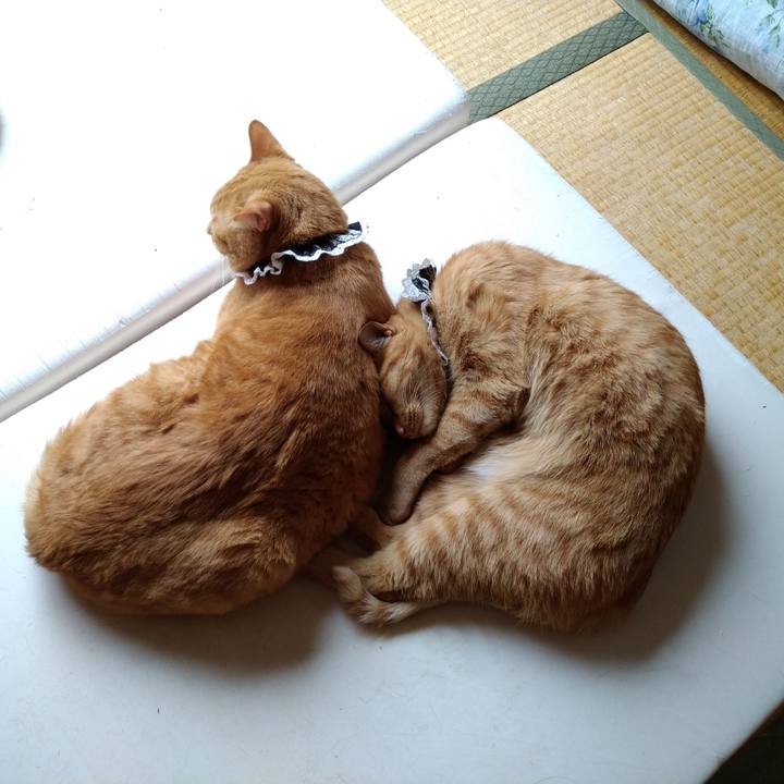 0262c3ab d2e3 4b77 8d49 dac973bda343 1601035820617