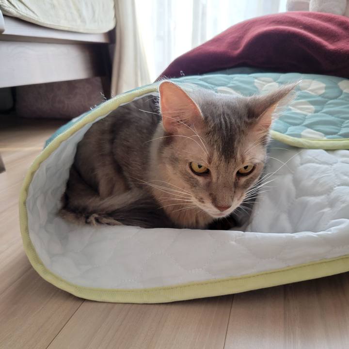 0262f5a1 80c5 4300 a89d a4d056e1ef27 1631526879880