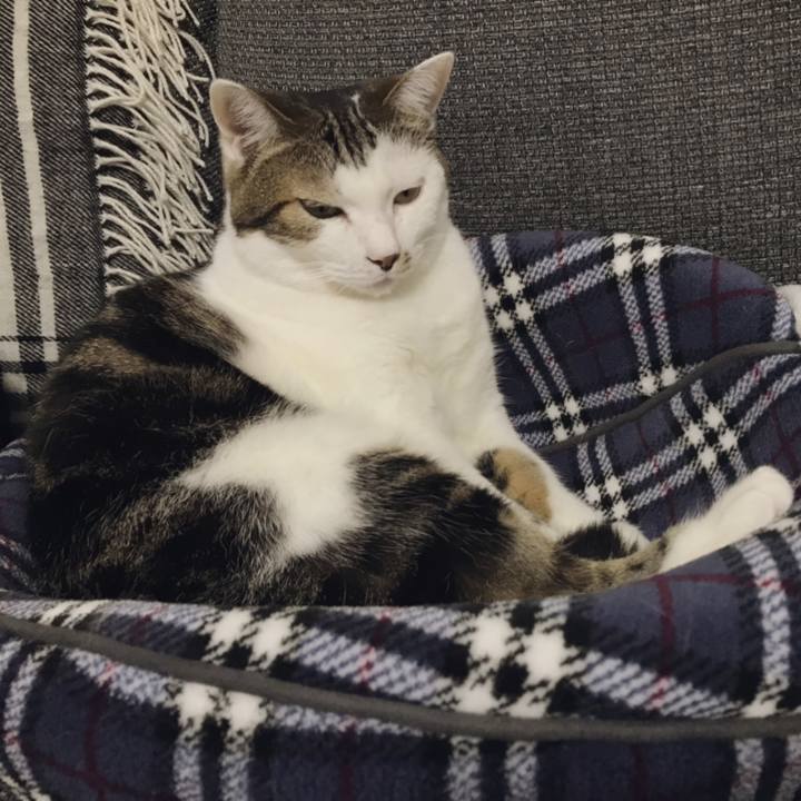 02631f73 9791 4bc9 bcc6 21e4b2f8fbb8 1539751624262