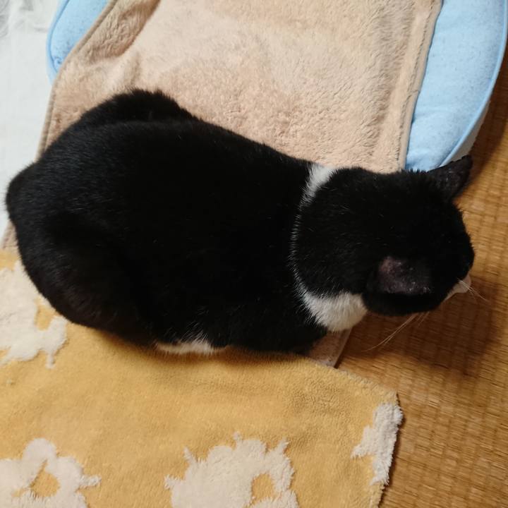 0263367a 71c1 46b5 8396 7e7b92ccb0ce 1560568208217