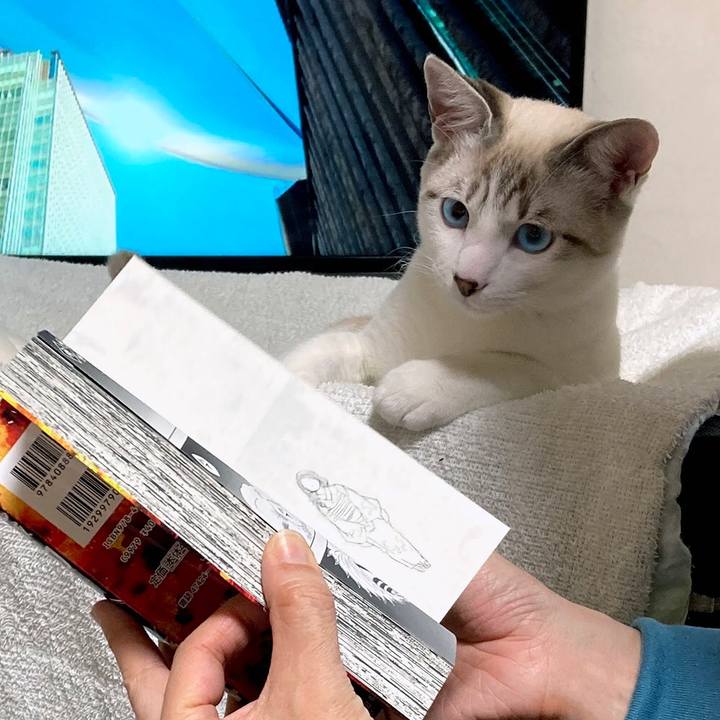 0263a0d6 d644 48f6 80e0 62333585d221 1611877292174