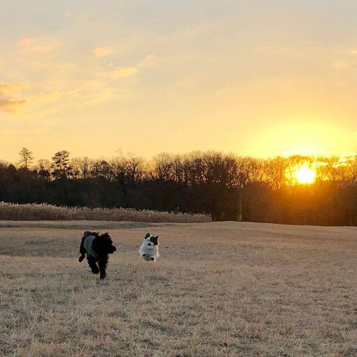 0263eb53 e852 4d20 af84 6cea16733ef1 1546815725369