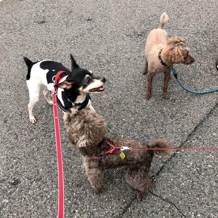 0263f6cd f249 46a7 bac6 f2d49717bd96 1562627106378