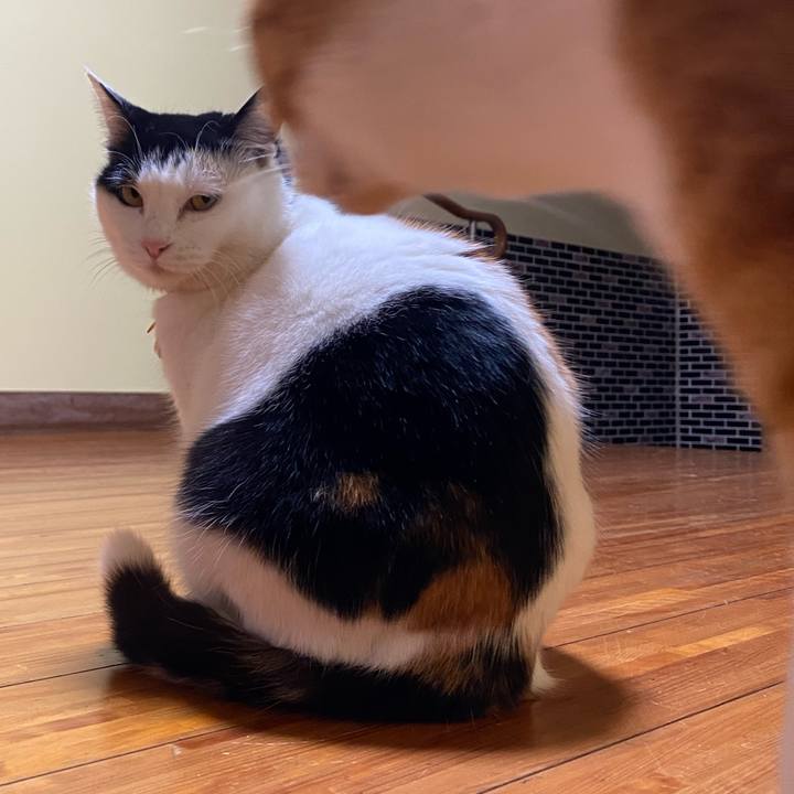 02641fa0 329d 43c5 bce2 8efc24168ee1 1647124468556