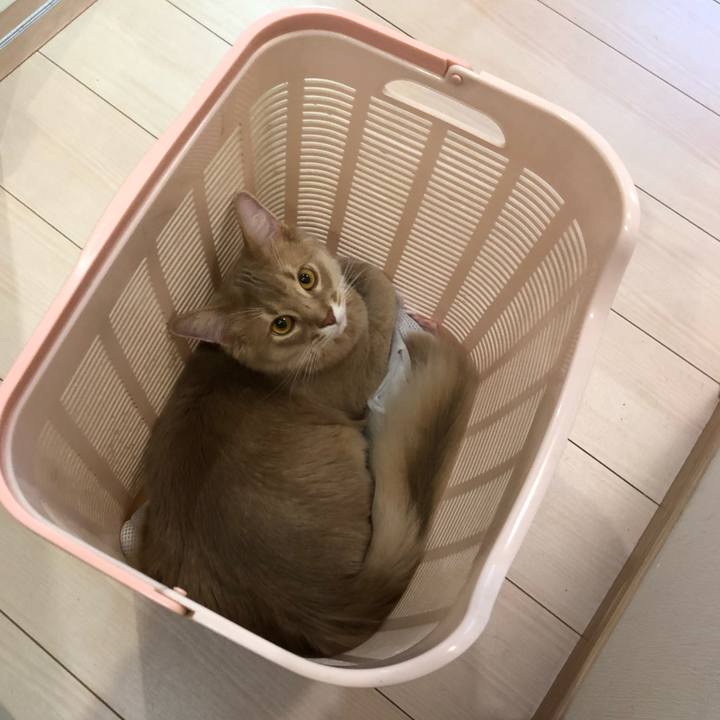 02644b3f e365 4e4f a99b a11b1a225af8 1562657793937