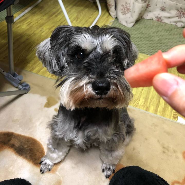 026494d6 234d 4a2e a294 55030f766191 1556375899413