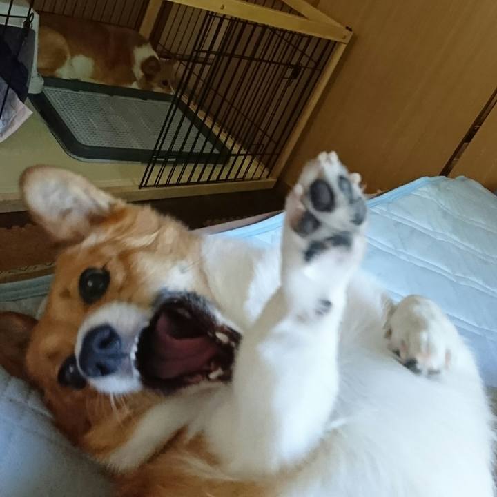 0264a9b8 0470 42db acc4 75fbe9cefeb2 1529371010786