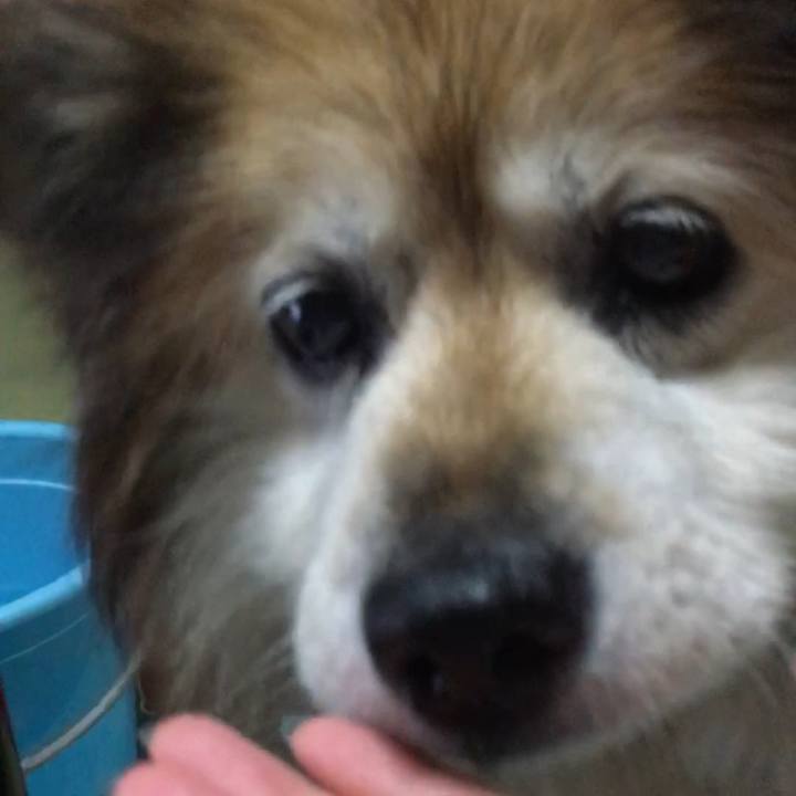 0264b053 28ea 408f 9775 01836a74b4b0 1585600229778