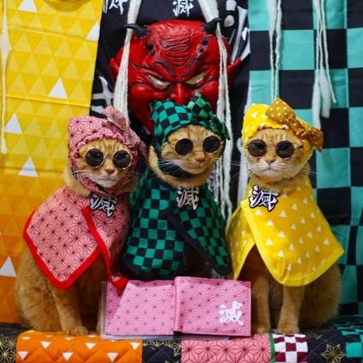 0264bacb 634f 4c21 91a2 5d536e6ad140 1611968054656