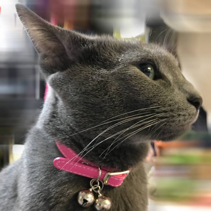 0264cefe bd85 4fc0 80f0 6134bae9cf98 1526598316016