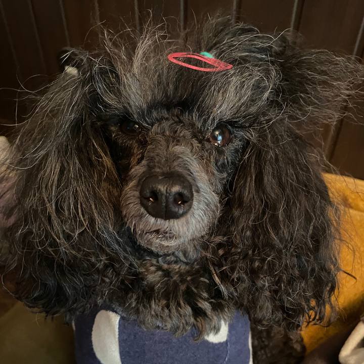 0264e7ea b8ab 40e4 a3d7 18993f1ddf13 1699059525814