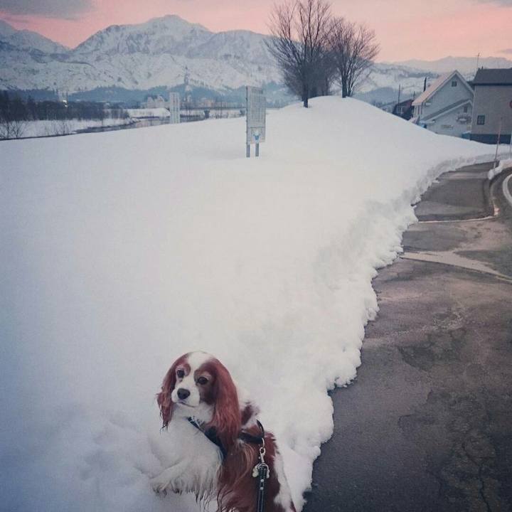 0264f2d7 0c45 4a2e b92b a3536b0888c0 1516093000943