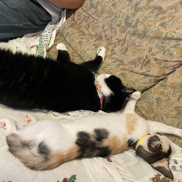 02653150 3e9e 4df2 8df9 43fc20173338 1659776219495