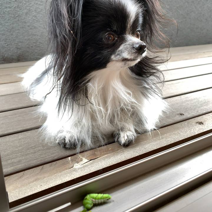 02655fa1 9009 47fb bb30 55c48ecfe8a1 1559444128277