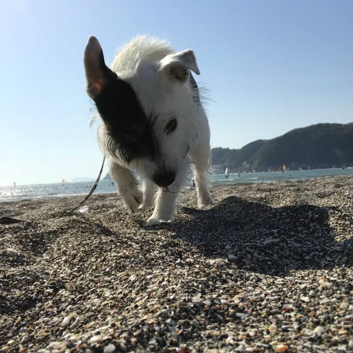 02657707 359f 4ee6 8d65 43409c8916f1 1524291940387