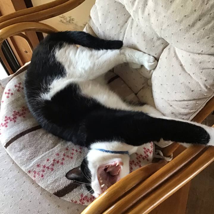 026583c4 a2cf 4f08 975e dbdb01144024 1658735156619