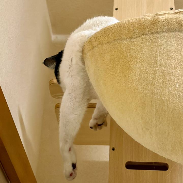 0265fd30 c9cf 4127 a6a0 b9643633f5a0 1763995617065